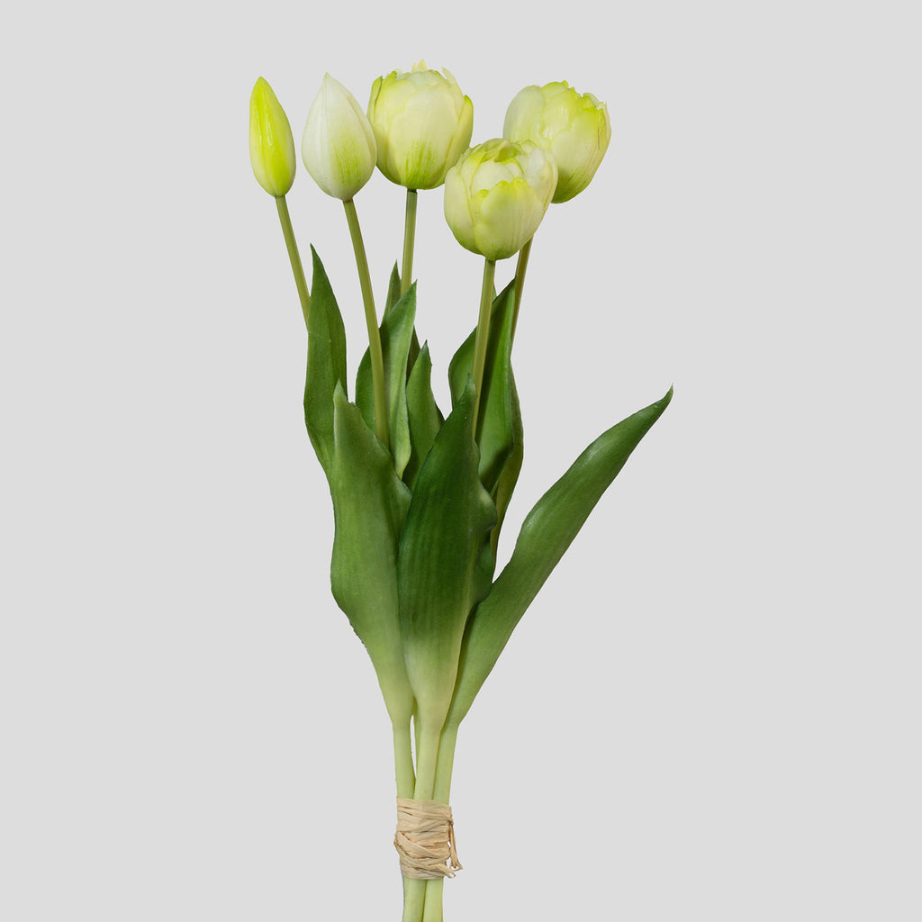 5 szálból álló, fehér színű tulipáncsokor művirág, nyílt és bimbós virágfejekkel.