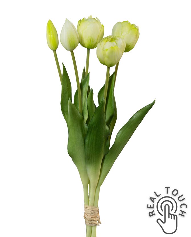 5 szálból álló, fehér színű tulipáncsokor művirág, nyílt és bimbós virágfejekkel.