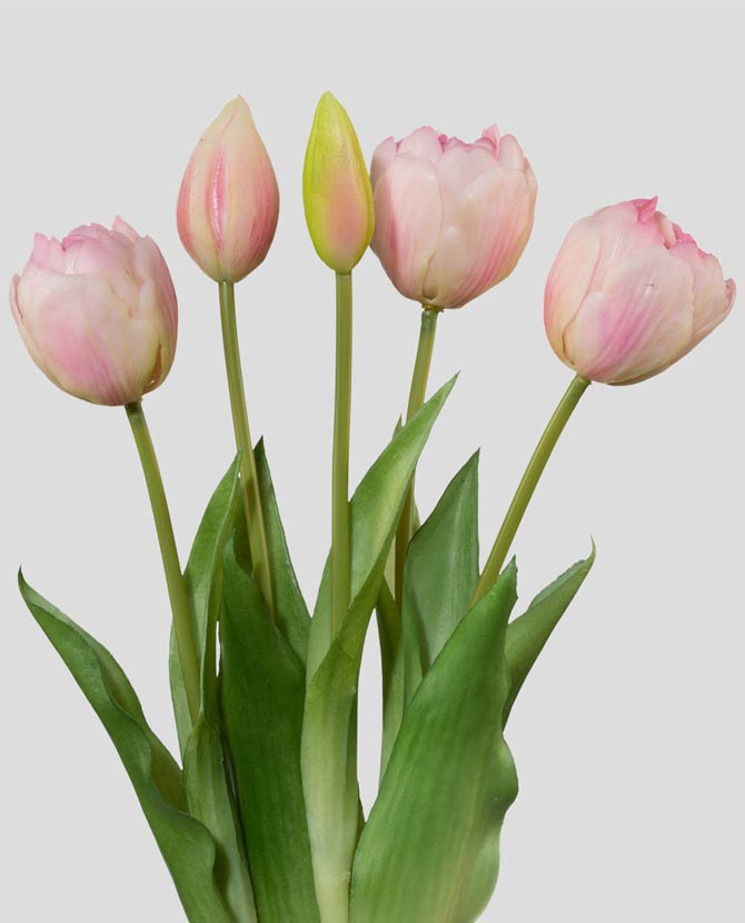 5 szálból álló, rózsaszín színű tulipáncsokor művirág, nyílt és bimbós virágfejekkel.
