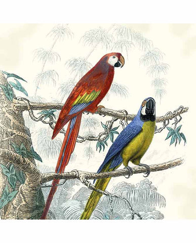20 db-os papírszalvéta "Antique Parrots"