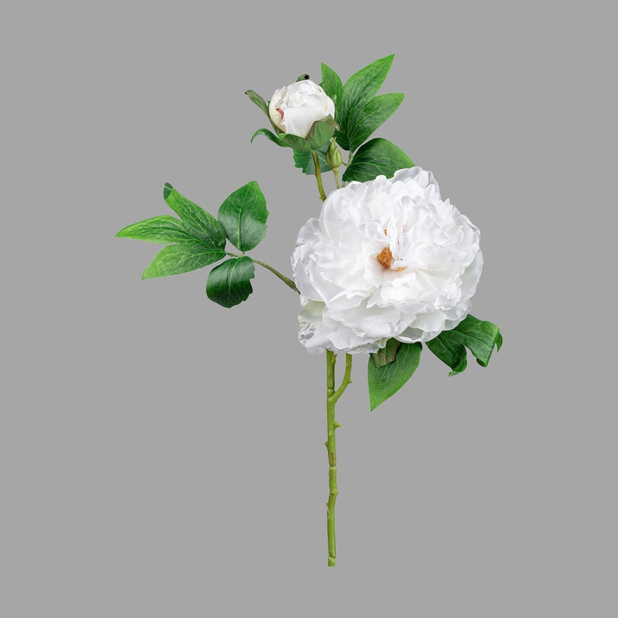 Mű bazsarózsa ág, fehér színű nyílt és bimbós virágfejekkel.