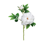 Mű bazsarózsa ág, fehér színű nyílt és bimbós virágfejekkel.