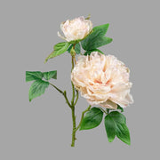 Mű bazsarózsa ág, pezsgő színű nyílt és bimbós virágfejekkel.