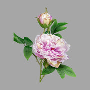 Mű bazsarózsa ág, halvány rózsaszín színű nyílt és bimbós virágfejekkel.