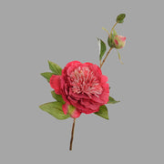 Mű bazsarózsa ág, kármin színű nyílt és bimbós virágfejekkel.