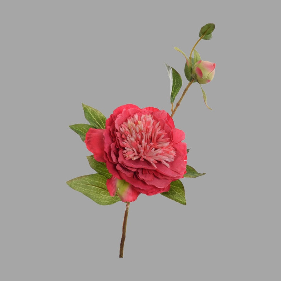 Mű bazsarózsa ág, kármin színű nyílt és bimbós virágfejekkel.