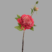 Mű bazsarózsa ág, kármin színű nyílt és bimbós virágfejekkel.