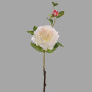 Mű bazsarózsa ág, krém színű nyílt és bimbós virágfejekkel.