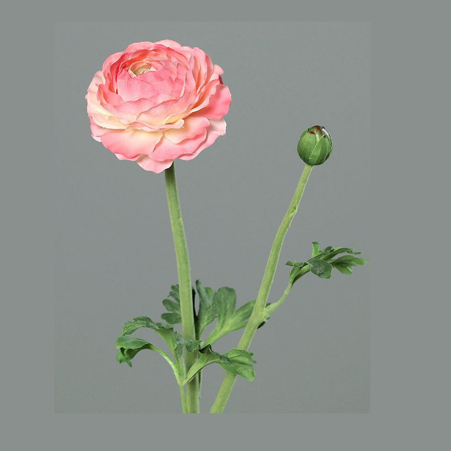 Mű boglárka, pink színű nyílt virágfejjel és egy bimbóval.