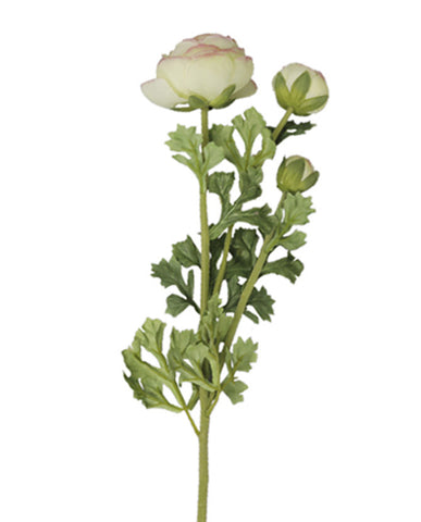 Élethű megjelenésű, 70 cm magas, mű boglárka, nyílt és bimbos, halvány rózsaszín színű virágfejekkel.