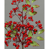Piros bogyós karácsonyi ág levelekkel.