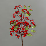 Piros bogyós karácsonyi ág levelekkel.