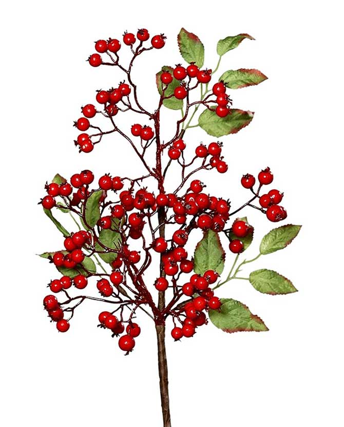 Piros bogyós karácsonyi ág levelekkel.