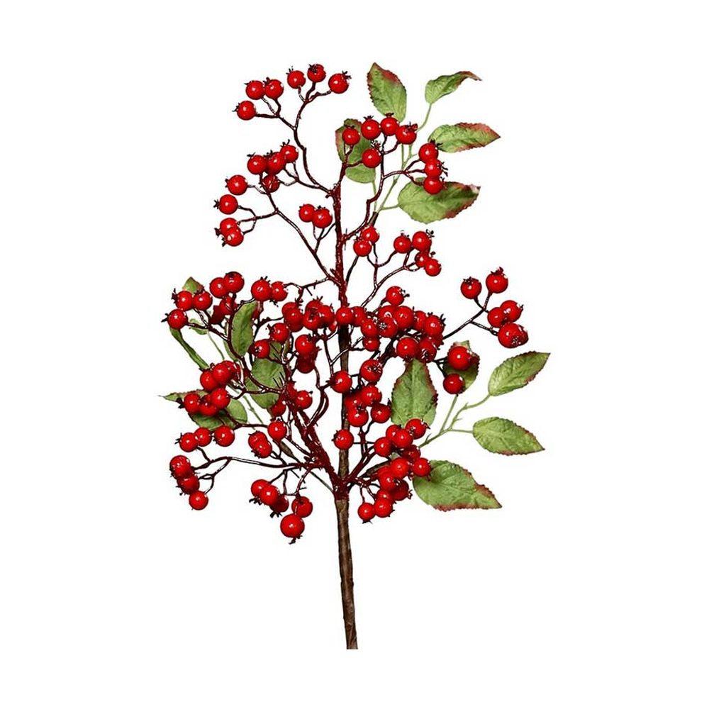 Piros bogyós karácsonyi ág levelekkel.