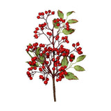 Piros bogyós karácsonyi ág levelekkel.