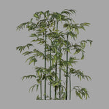 Zöld színű, mű térelválasztó bambusz dekornövény.