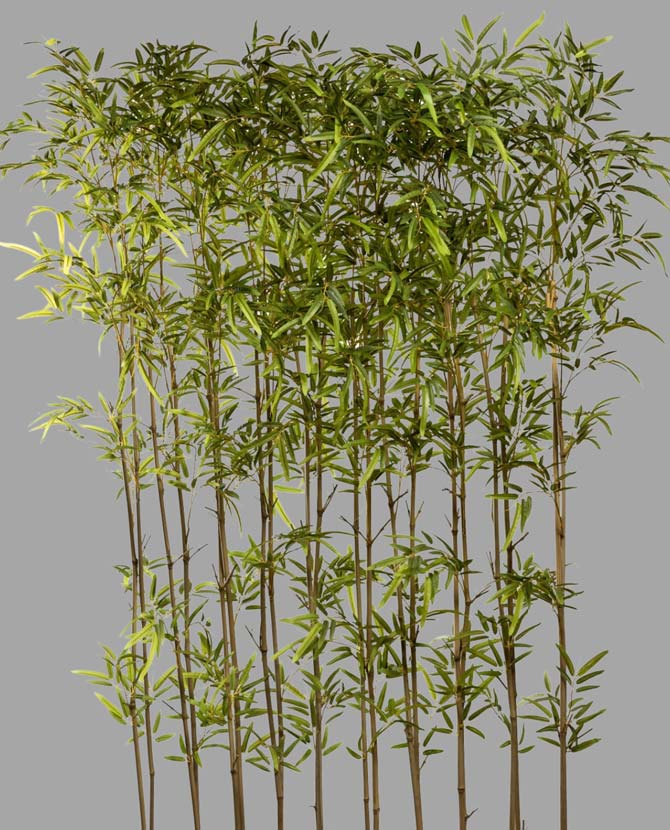 Zöld színű, UV álló, mű térelválasztó bambusz dekornövény.