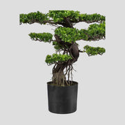 Nagyméretű, 90 cm magas, mesterséges bonsai fa, fekete színű műanyag cserépben.