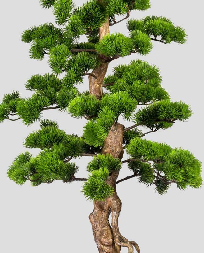 Mesterséges mű fenyő bonsai fa, fekete színű műanyag cserépben.