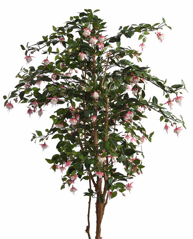 Élethű megjelenésű, mesterséges fukszia fa, rózsaszín színű virágokkal fekete műanyag cserépben