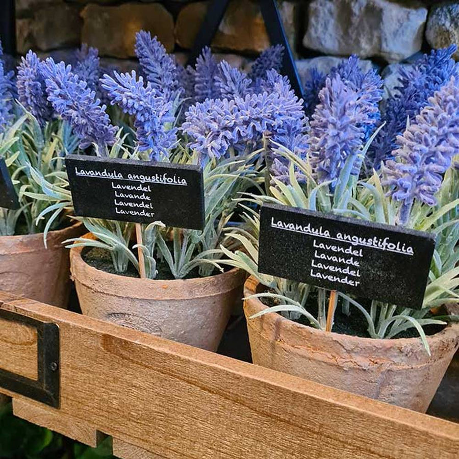 Pecsétes terrakotta cserépbe helyezett, levendula bokor műnövény..