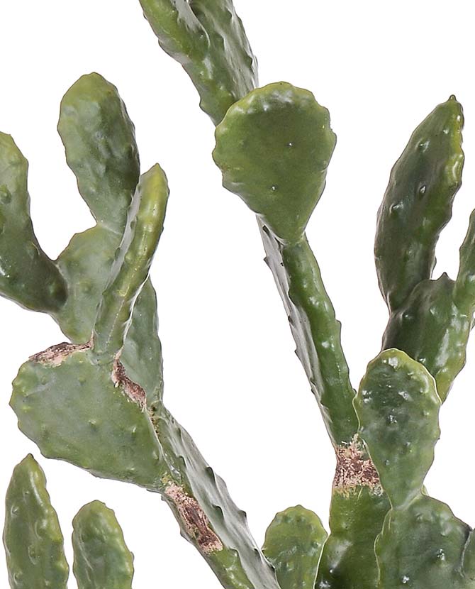 Élethű megjelenésű, 130 cm magas, hamvas zöld színű, mesterséges füge kaktusz, fekete műanyag cserépben.