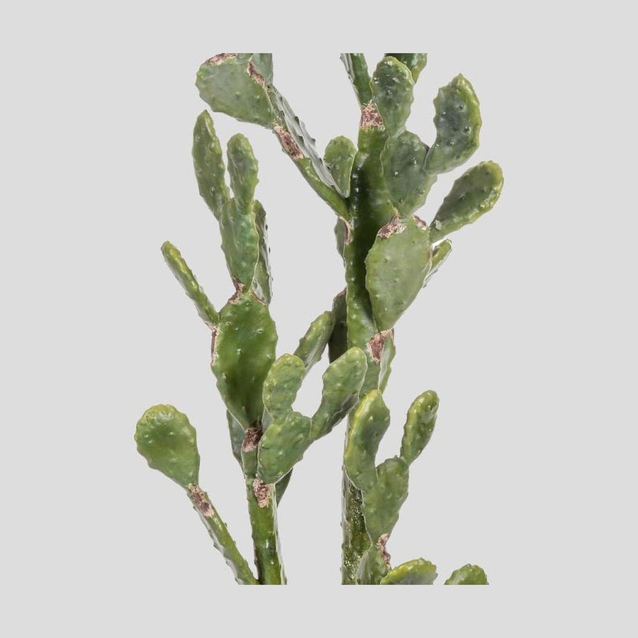 Élethű megjelenésű, 130 cm magas, hamvas zöld színű, mesterséges füge kaktusz, fekete műanyag cserépben.