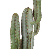 Élethű megjelenésű, 160 cm magas, mesterséges San Pedro kaktusz, fekete műanyag cserépben..