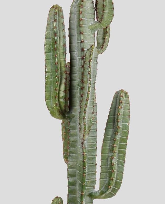 Élethű megjelenésű, 160 cm magas, mesterséges San Pedro kaktusz, fekete műanyag cserépben..