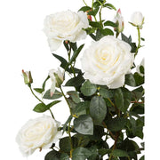 Prémium minőségű, nagyméretű, 90 cm magas, fehér színű, élethű mesterséges mű rózsabokor, fekete műanyag cserépben