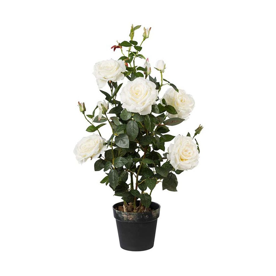 Prémium minőségű, nagyméretű, 90 cm magas, fehér színű, élethű mesterséges mű rózsabokor, fekete műanyag cserépben