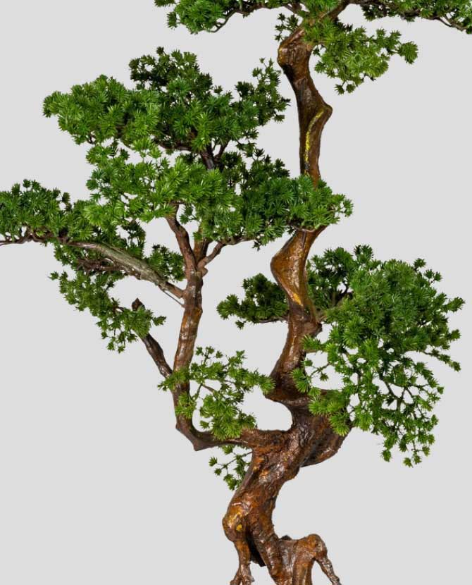 Mesterséges vörösfenyő bonsai fa, fakéreg szerű magnézium cserépben.