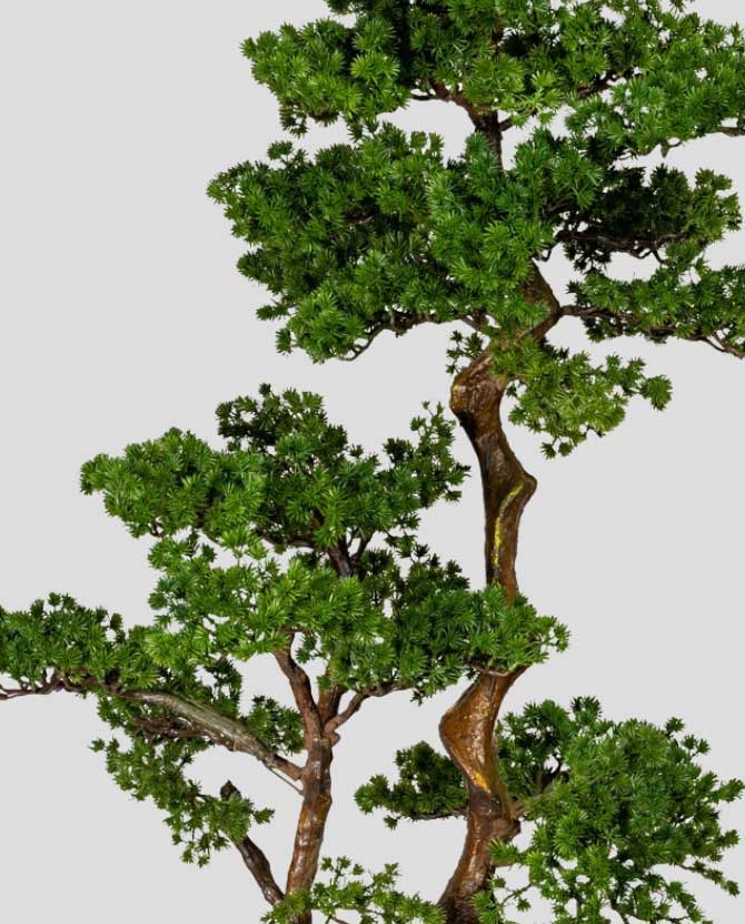Mesterséges vörösfenyő bonsai fa, fakéreg szerű magnézium cserépben.
