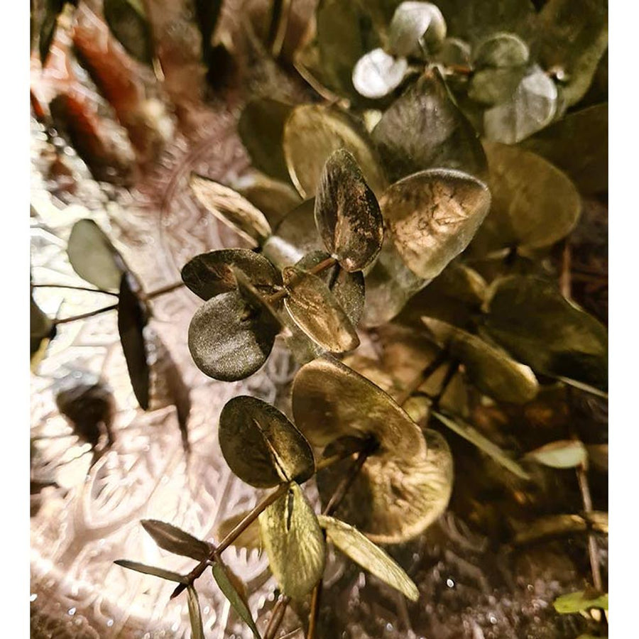 Fényes, aranyszínű levelekkel rendelkező dekor eukaliptusz ág műnövény.