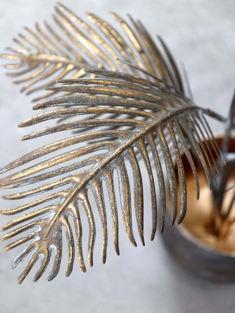 Antikolt felületű, sárgaréz színű fémből készült, kentia pálma dekoráció fém kaspóban.