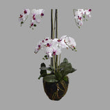 Fehér-lila színű mű orchidea, mesterséges földlabdában.