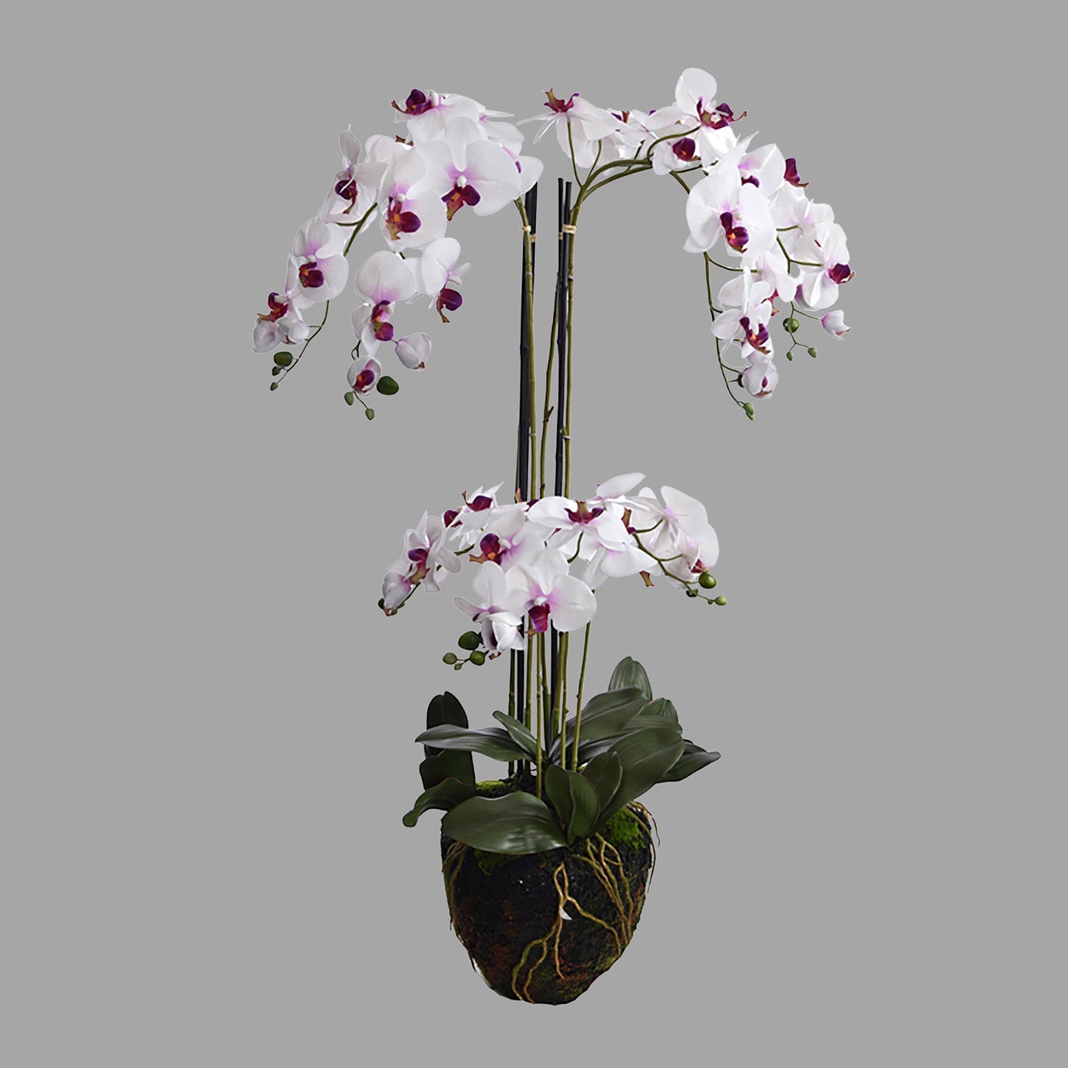 Fehér-lila színű mű orchidea, mesterséges földlabdában.