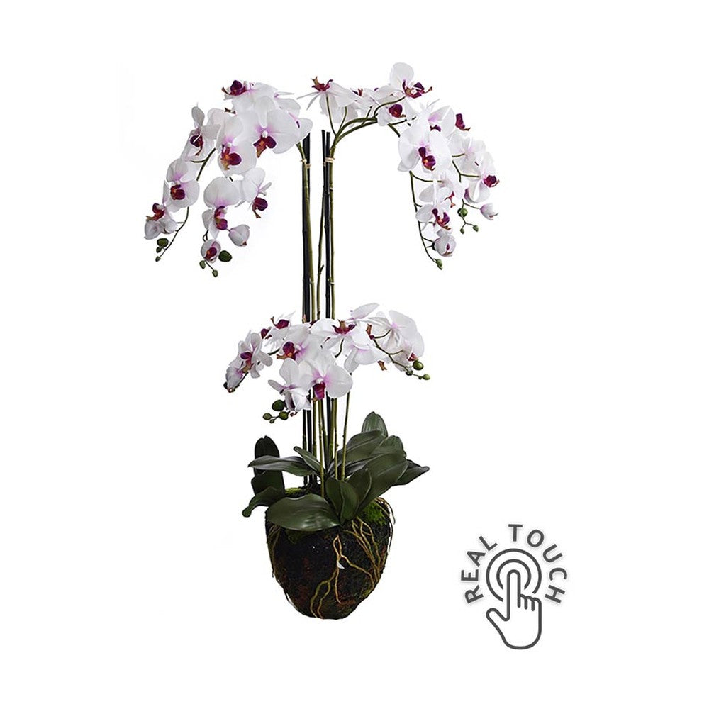 Fehér-lila színű mű orchidea, mesterséges földlabdában.