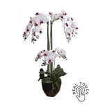 Fehér-lila színű mű orchidea, mesterséges földlabdában.
