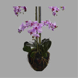 Lila színű mű orchidea, mesterséges földlabdában.