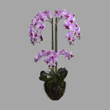 Lila színű mű orchidea, mesterséges földlabdában.