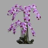 Lila színű mű orchidea, mesterséges földlabdában.