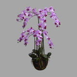 Lila színű mű orchidea, mesterséges földlabdában.