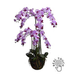 Lila színű mű orchidea, mesterséges földlabdában.