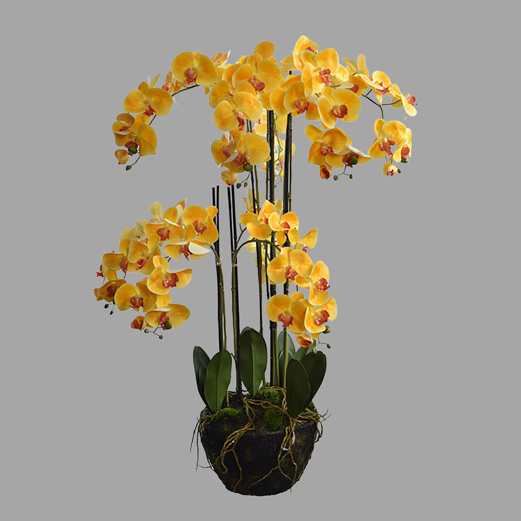 Sárga színű mű orchidea, mesterséges földlabdában.