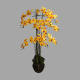 Sárga színű mű orchidea, mesterséges földlabdában.