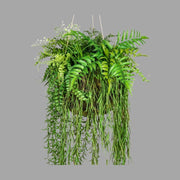 Függeszthető kialakítású, 40 cm átmérőjű mohalabdás páfrány mix műnövény kompozíció.