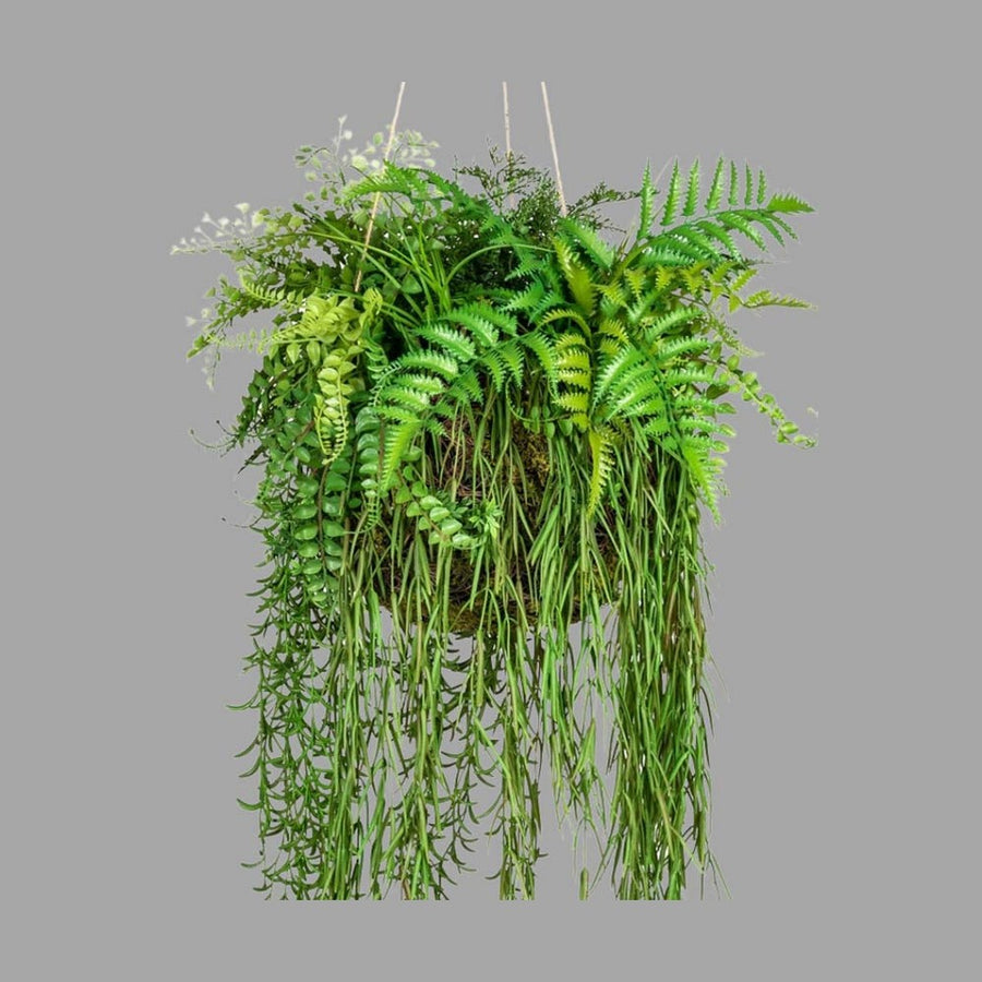 Függeszthető kialakítású, 40 cm átmérőjű mohalabdás páfrány mix műnövény kompozíció.