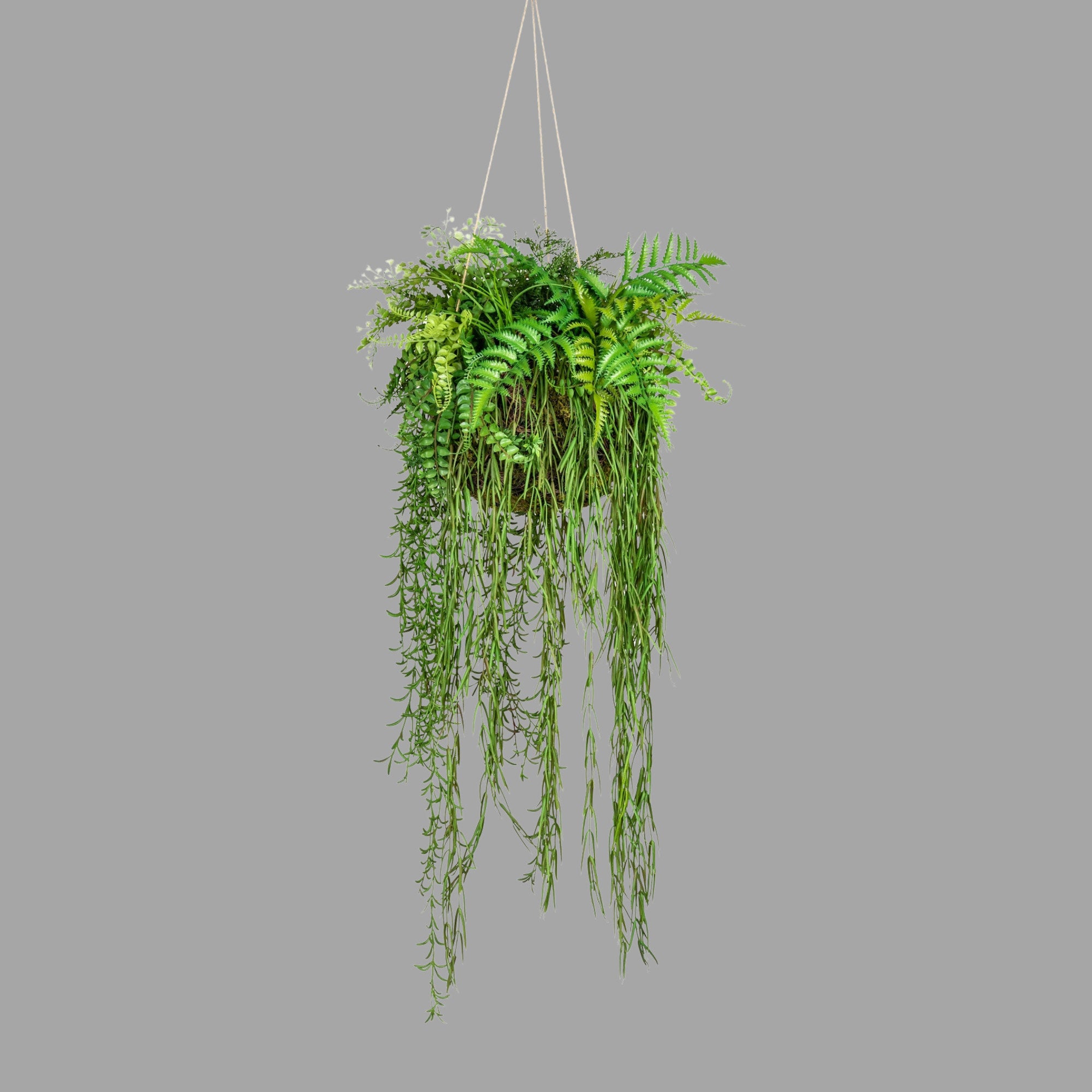 Függeszthető kialakítású, 40 cm átmérőjű mohalabdás páfrány mix műnövény kompozíció.