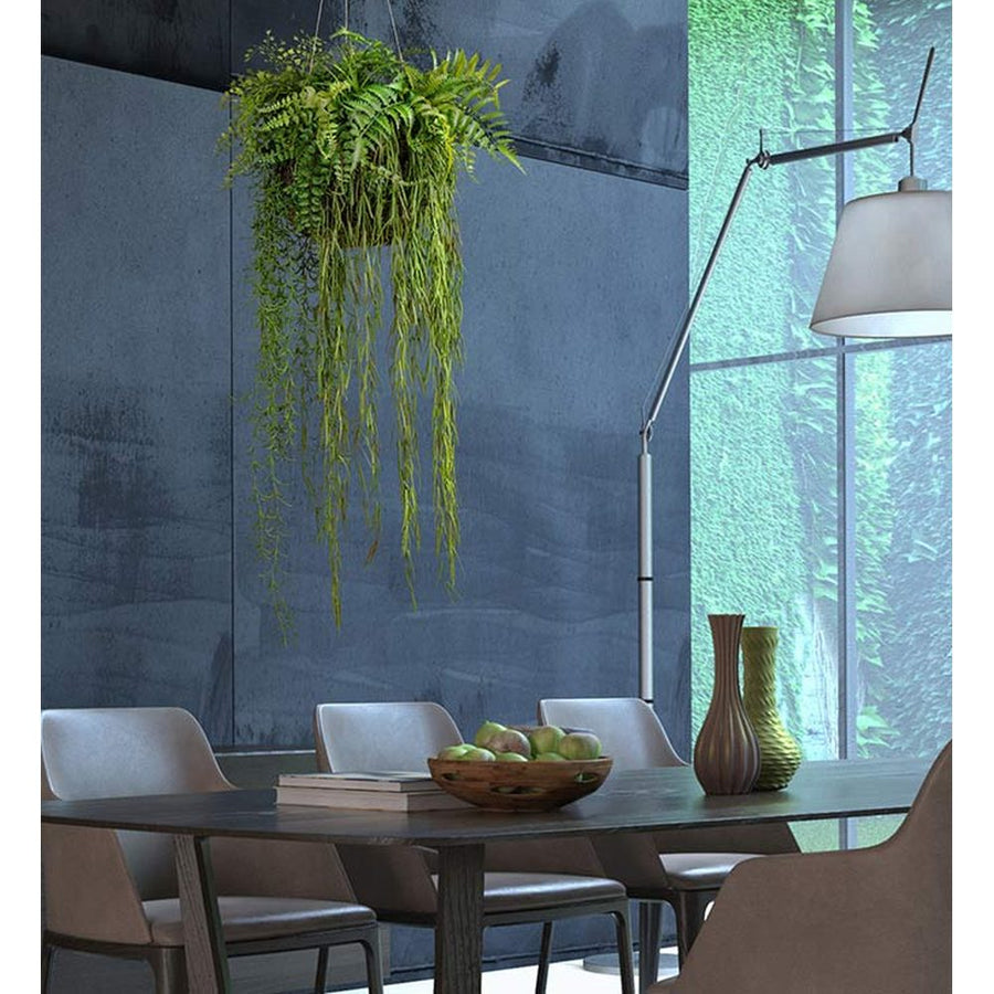 Függeszthető kialakítású, 40 cm átmérőjű mohalabdás páfrány mix műnövény kompozíció.